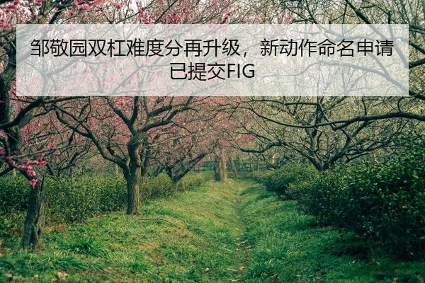 邹敬园双杠难度分再升级，新动作命名申请已提交FIG